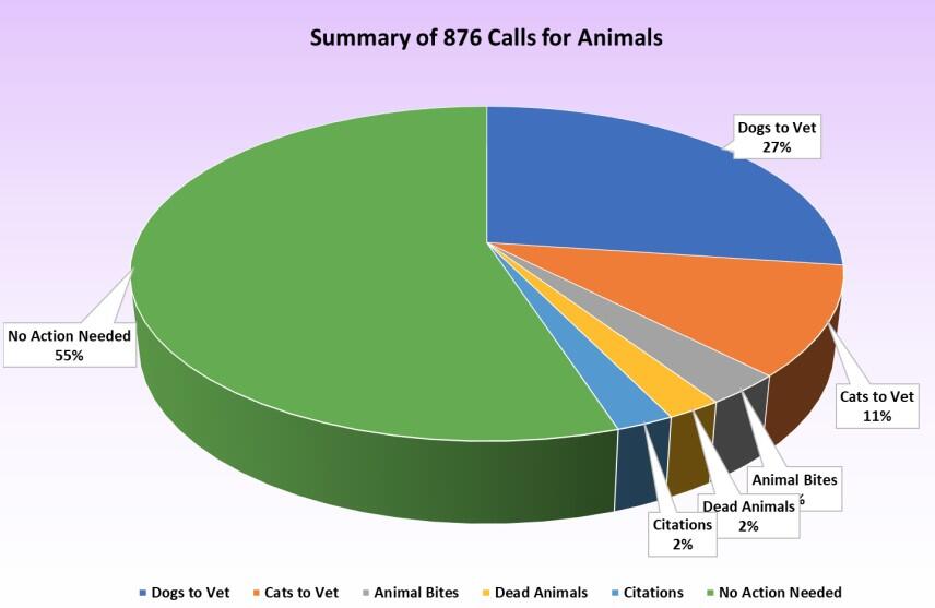 Summary of 876 Calls for Animals for 2021 chart - all information listed below
