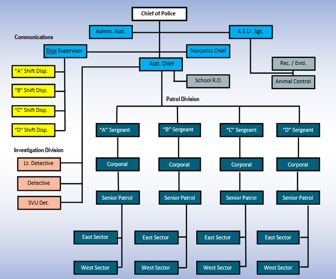 Organizational Chart - all information included as text below